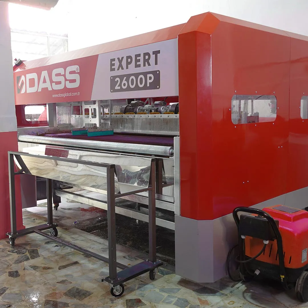 Otomatik Halı Yıkama Makinesi Dass Point Serisi 4